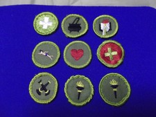 YOU PICK Merit Badge Boy Scouts BSA TYPE F Olive Rolled Edge Vintage lot of 2