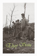 VINTAGE 1940's PHOTO WWII SOLDIERS PEE IN THE WOODS GAY INTEREST 57