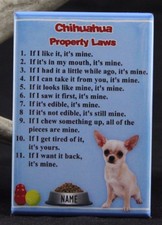 Chihuahua Property Laws 2" X 3" Fridge / Locker Magnet. 